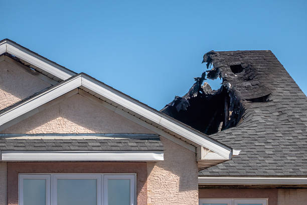 Licensed Odor Removal service in Sun City Center, FL - Fire Damage Laser Cleaning